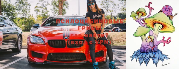 прущие крисы Баксан