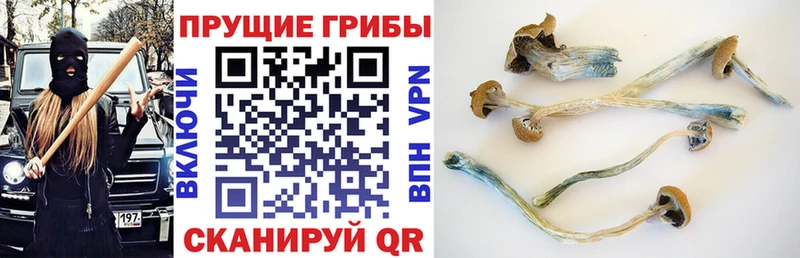 Псилоцибиновые грибы мухоморы  Кыштым 